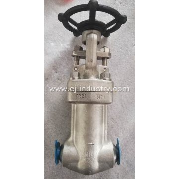 F321 Forged Gate Valve